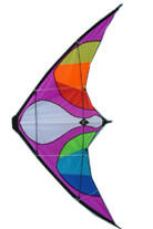 Moden kite-Advertising/Promotional Kite