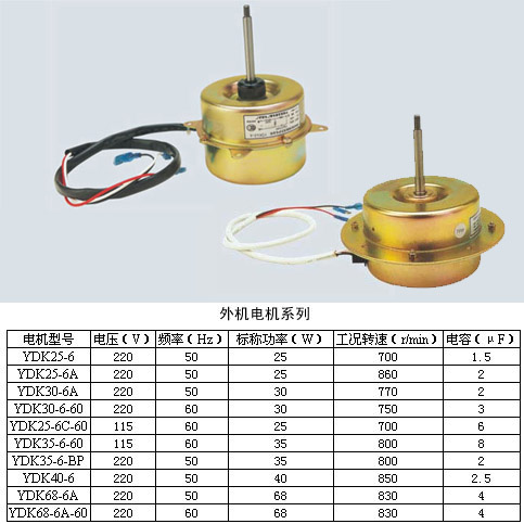 ELECTRIC MOTOR