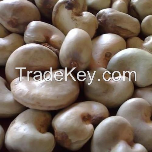 Raw Cashew Nuts  grade A origin Tanzanian