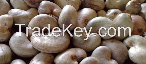 Raw Cashew Nuts  grade A origin Tanzanian