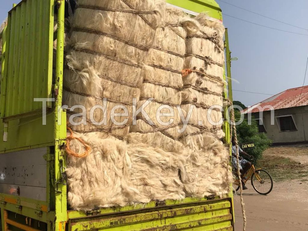 SISAL FIBER, &acirc;Linen Fiber origin Tanzania 