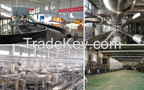 Dairy Milk Plant Machinery Processing Line