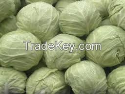 Cabbages