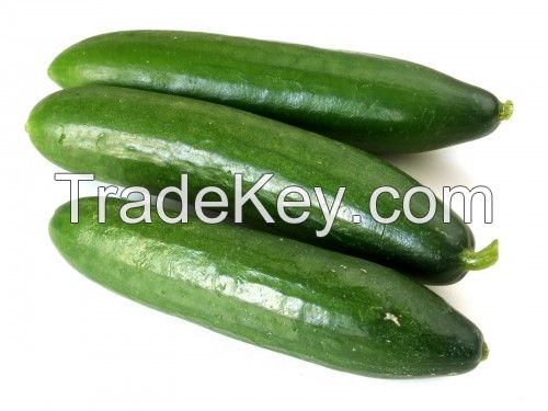 Cucumbers