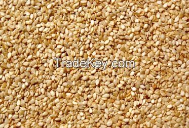 Selling Pure Natural Hulled Oil Seed