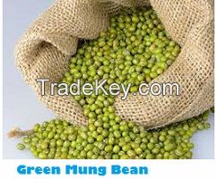 Selling Fresh Natural Green Mung Bean 