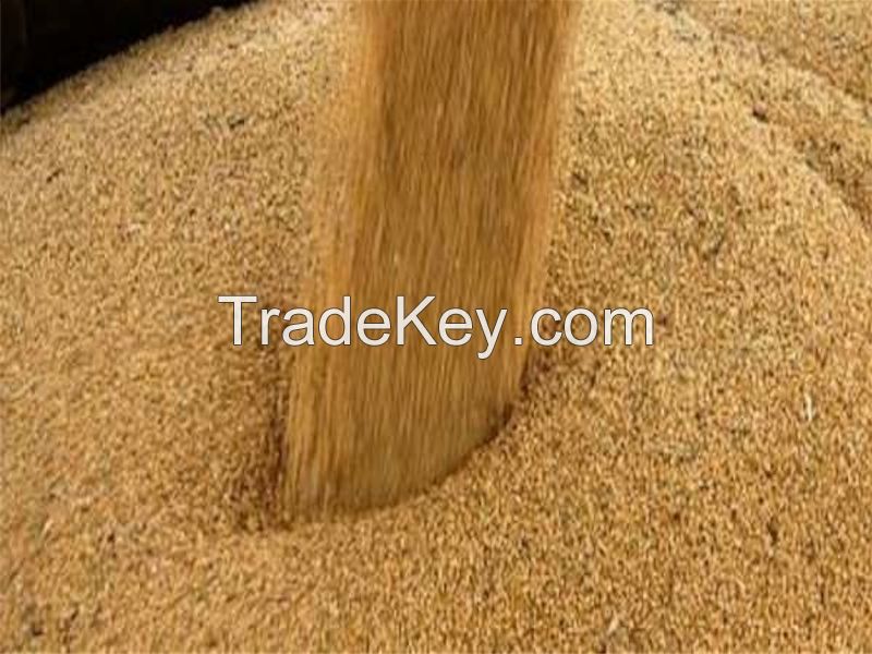 Soybean Meal