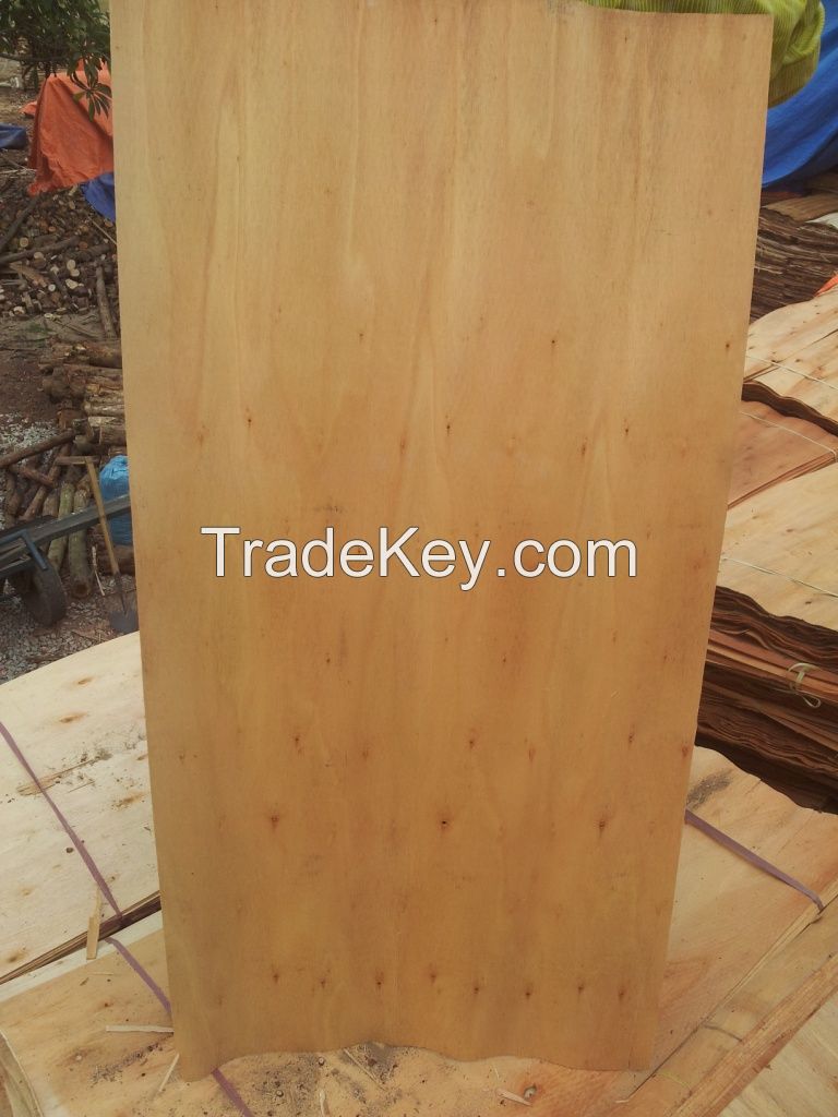 Eucalyptus Core Veneer