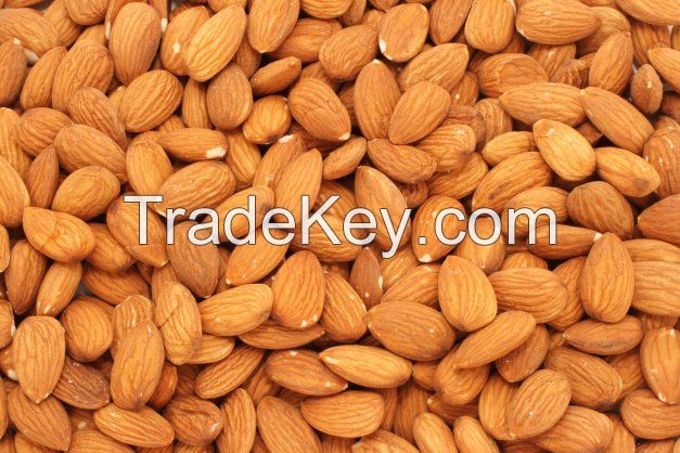 Raw Almond Nuts