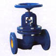 Globe valve