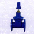 BS5163 NRS Gate Valve