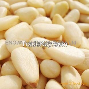 Pine nuts kernels for sale