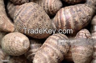 African yam