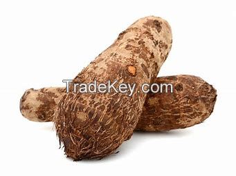 African yam