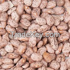 dry kidney beans