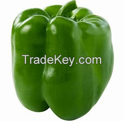 bell pepper