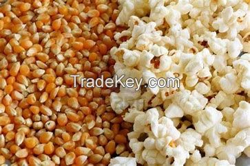 pop corn