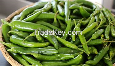 Green hot pepper