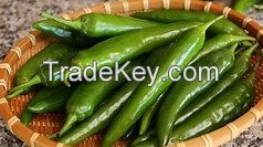 Green hot pepper