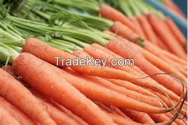 carrots