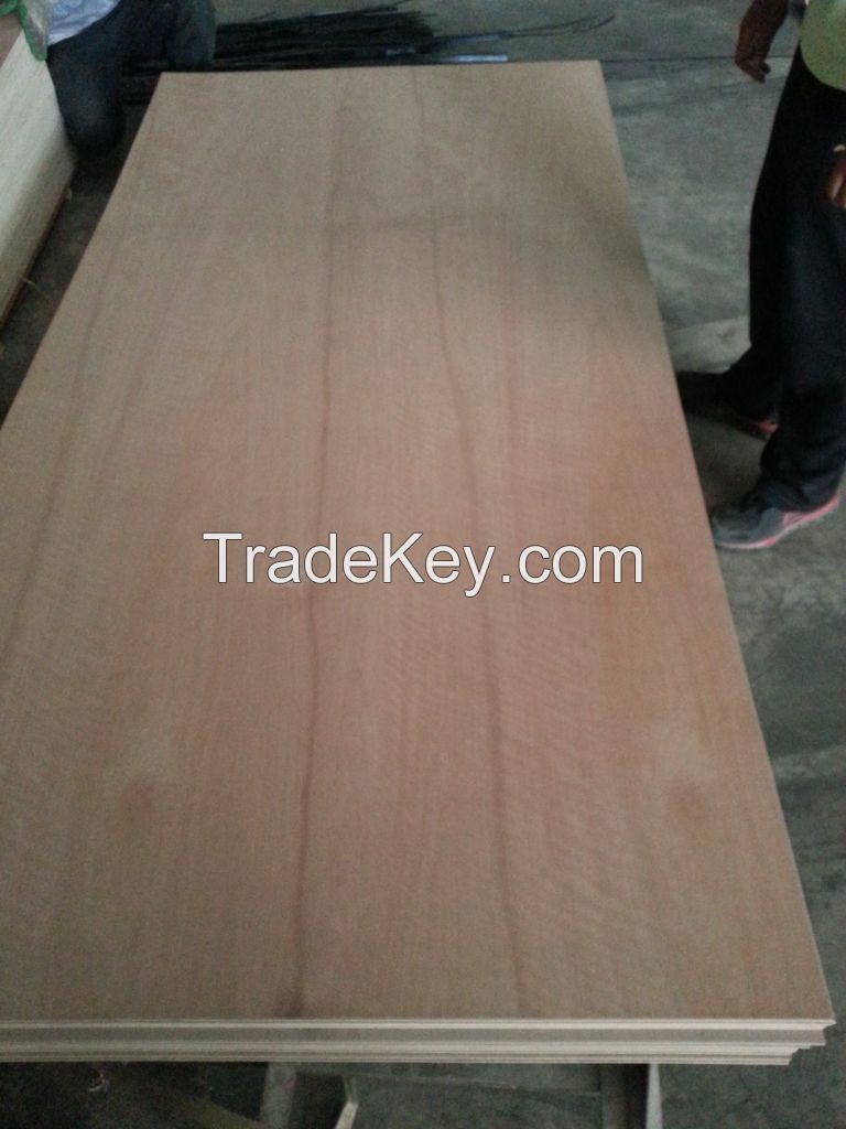 Pencil cedar Bintangor Okouma Pine Commercial Plywood 