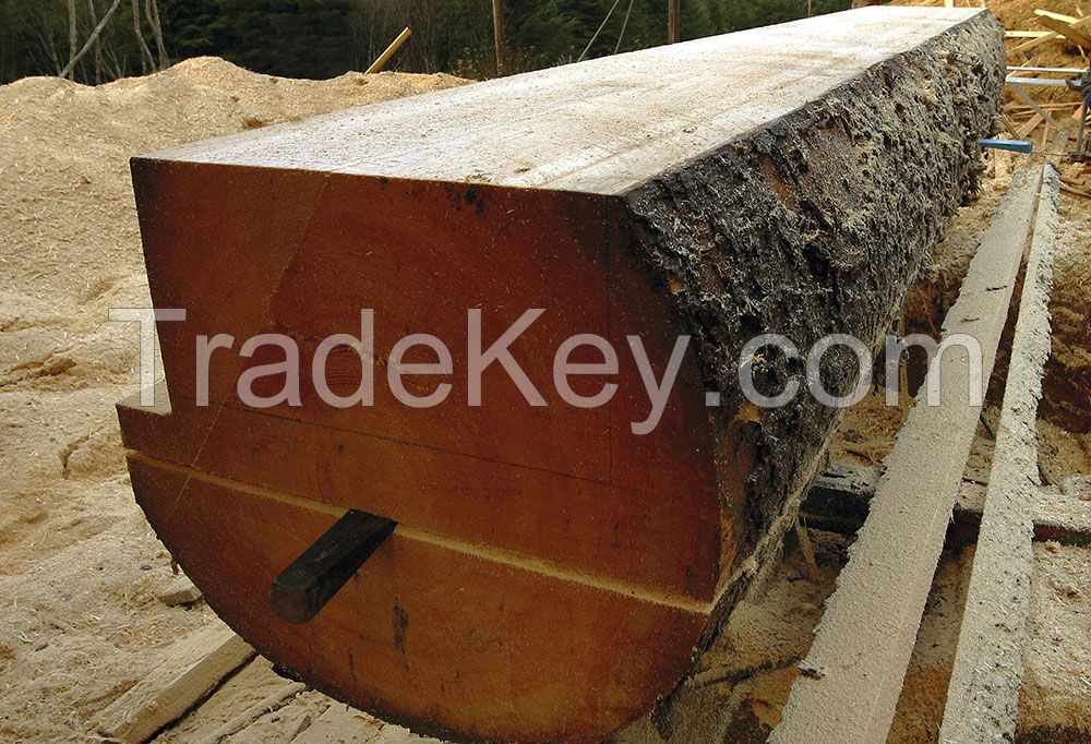  SPRUCE TIMBERS (LAT. PICEA) (WHITE WOOD) (SOFTWOOD)