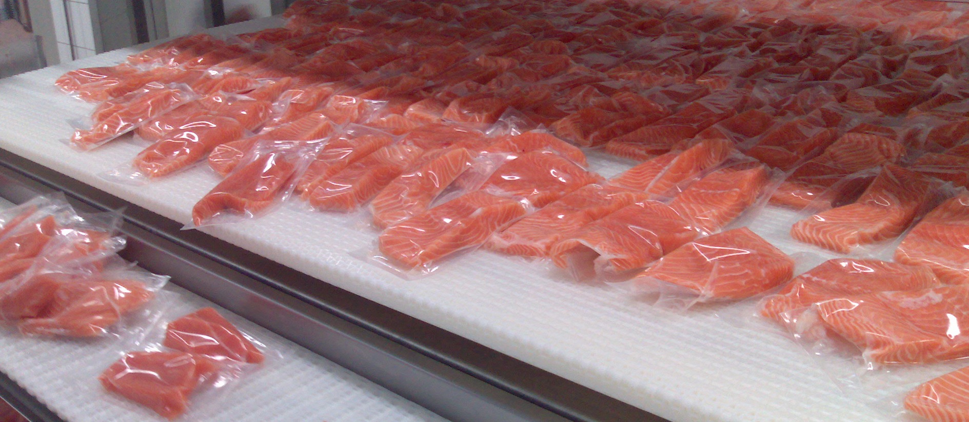 Frozen Salmon Portions