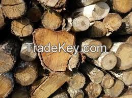 Wood Raw Material