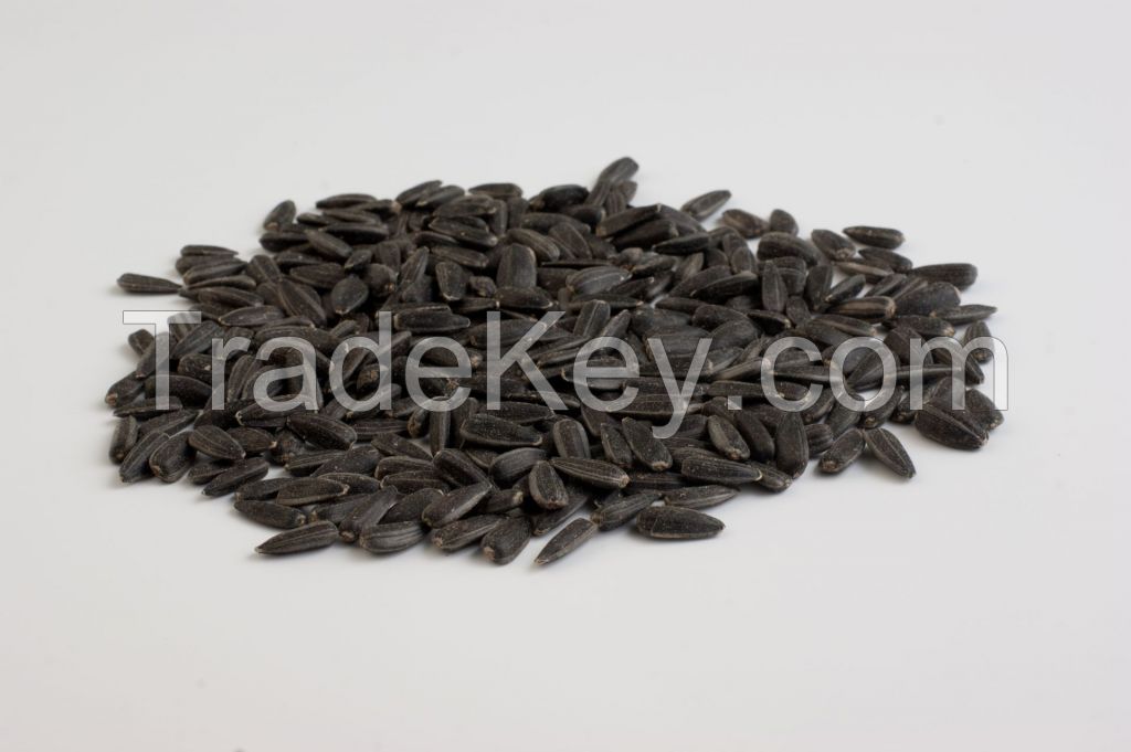 Black sunflower seeds