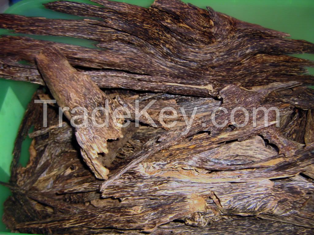 agarwood