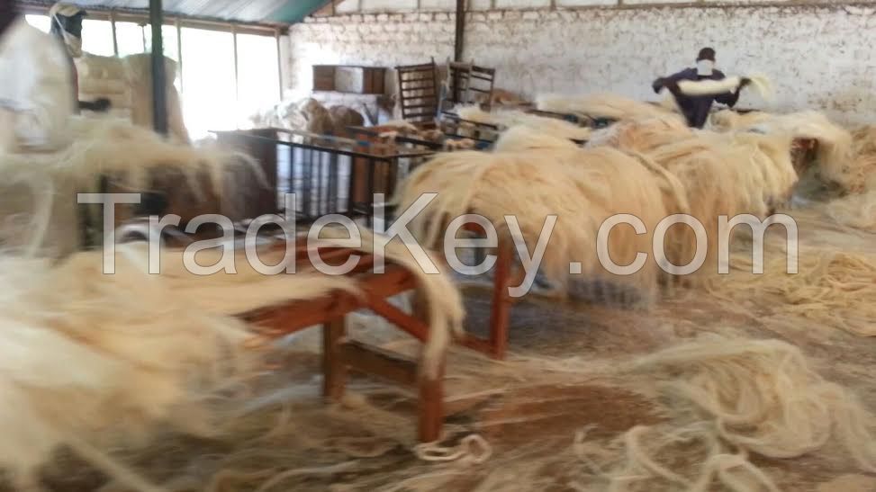 sisal  fibre: Grade A