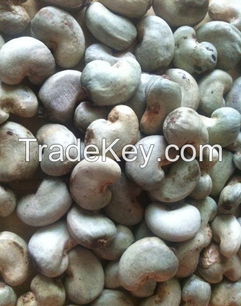 Grade A High Quality Raw and Semi Processed Cashew Nut from Nigeria