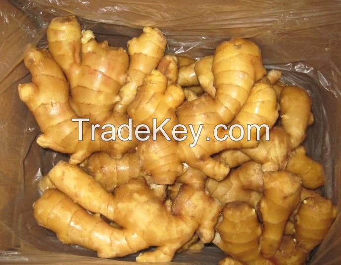 High Quality Grade A Fresh Ginger for Export