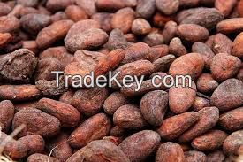 Grade A High Quality Raw Cocoa Beans