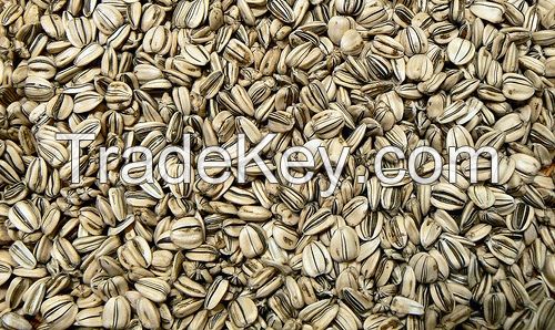 High Quality Sunflower Seeds