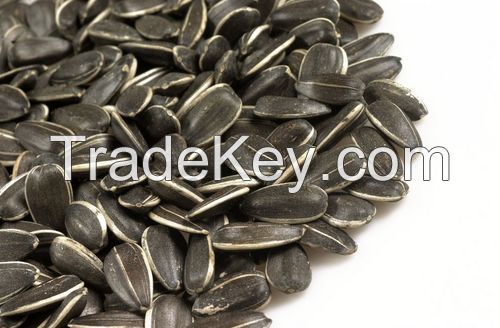 High Quality Sunflower Seeds