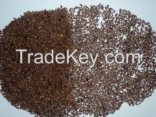 High Quality Cassia Tora Seeds