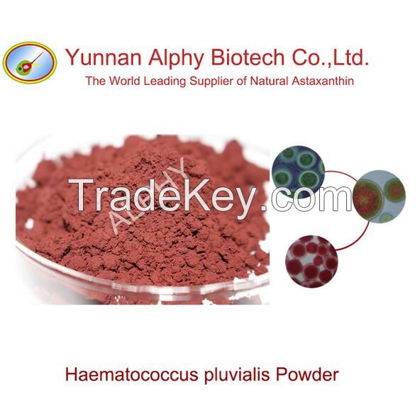 100% Haematococcus pluvialis Biomass, 1.5% natural astaxanthin, plant extract