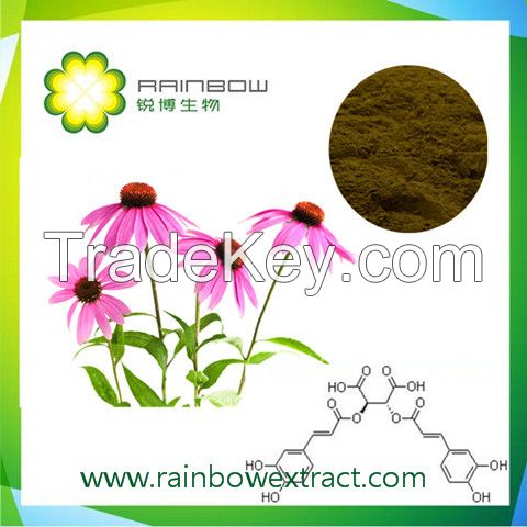 Echinacea Extract