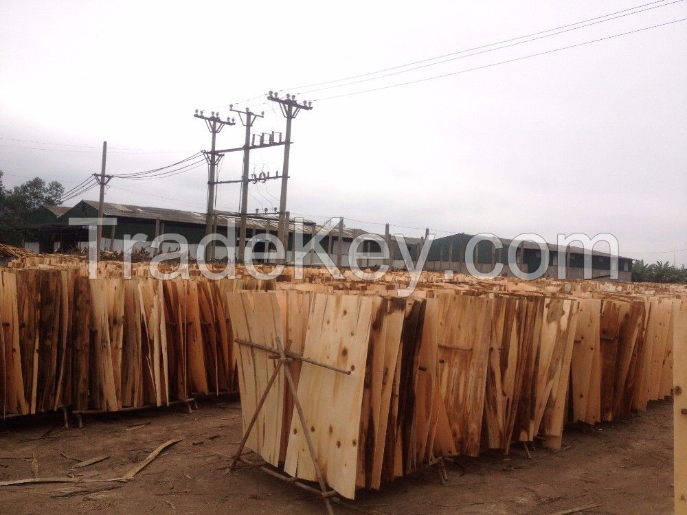 Best eucalyptus core veneer from Vietnam