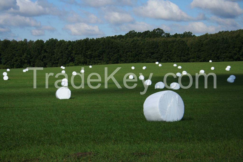 Silage wrapping film and net