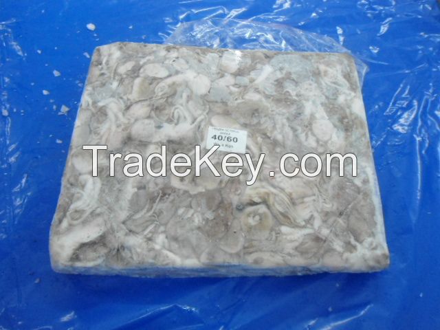 BABY OCTOPUS WHOLE ROUND BLOCK FROZEN