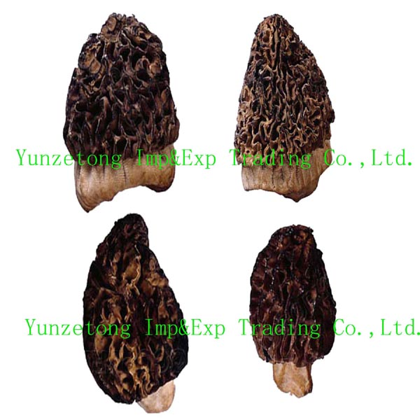 Dried morel mushroom