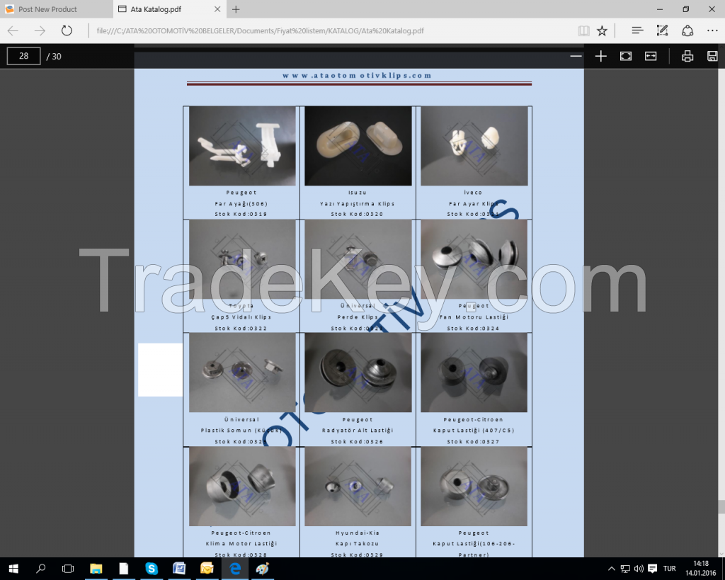 Auto Clip and Fasteners