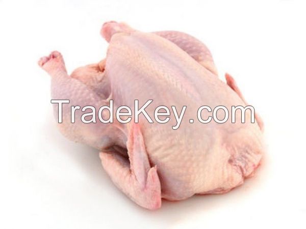 Chichen Frozen Halal/ chicken