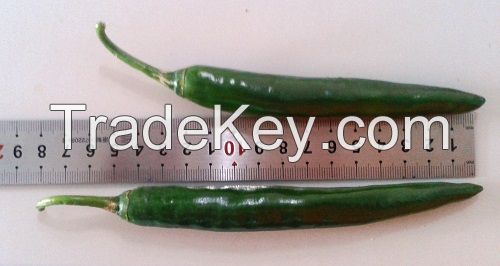 Big Green Chili