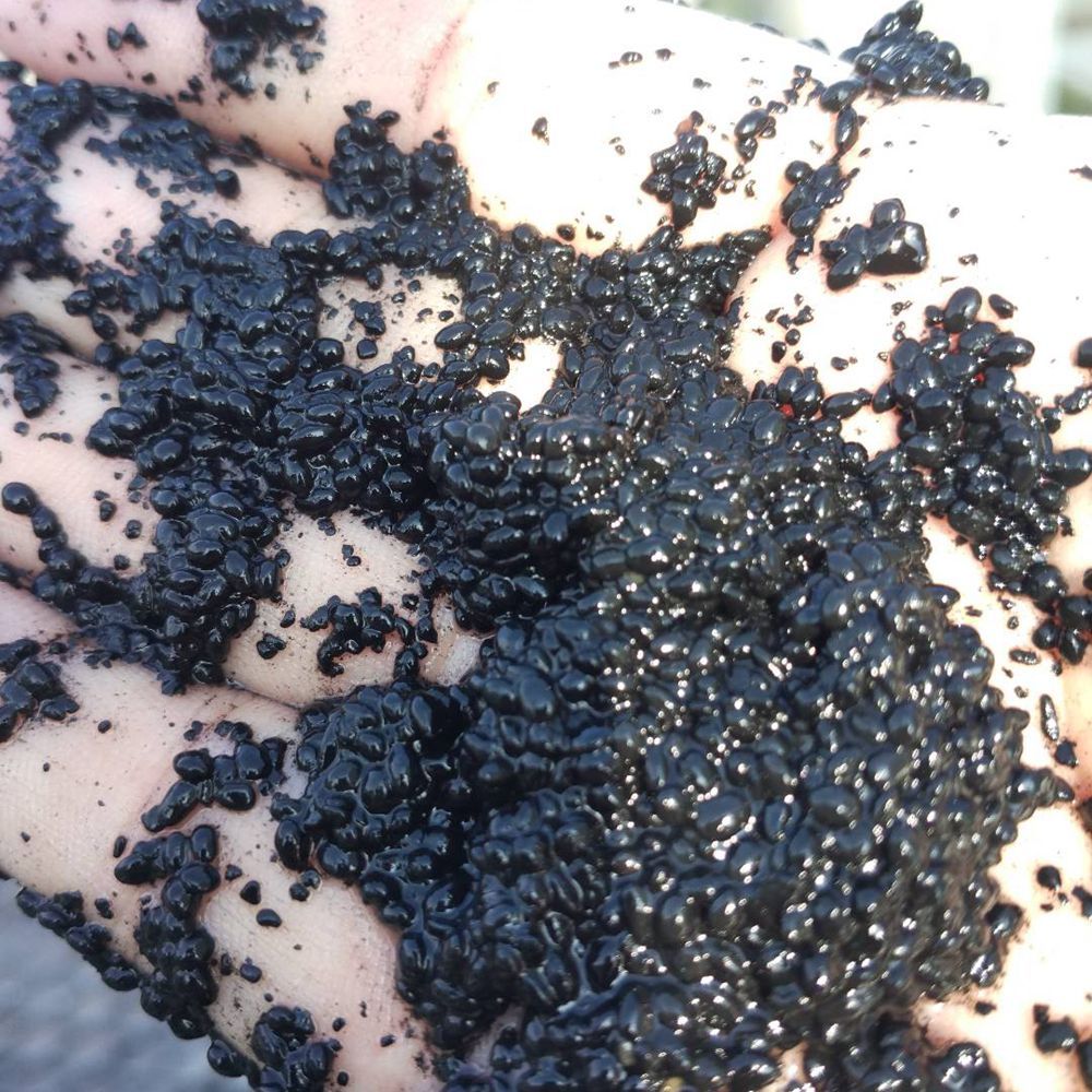 supply high quality anaerobic granular sludge use for reactor in wastewater treatment