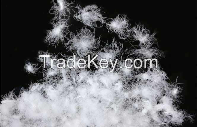 Down and feather filling pillow insert with high quality casing