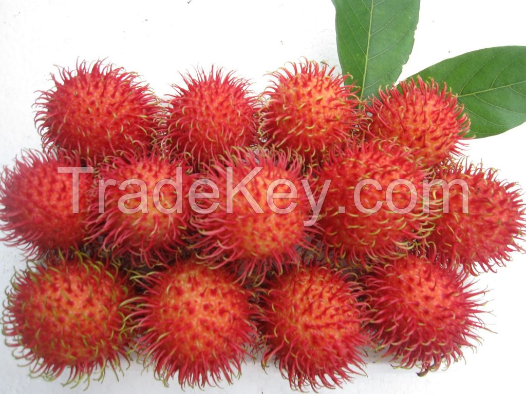 High quality rambutans from Vietnam