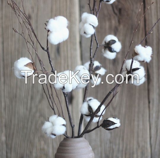 Dried Cotton Stalk Stems natural cotton boll crafts for decoration